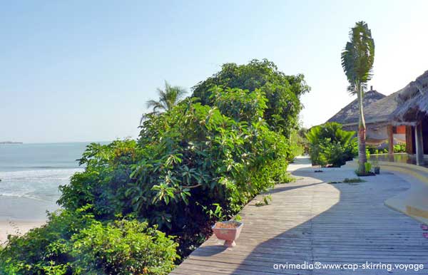 Location bungalow tout confort au bord de l'océan en bordure de mer à cap skirring sud du sénégal
