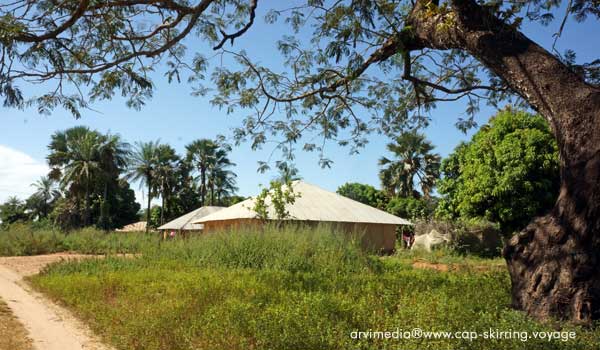 Petit village diola dans le sud de la Casamance, cases en terre avec le toit en taule, espace verdoyant et apaisant.