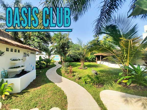 Le beau jardin arboré et fleurit, vivez vos vacances dans un lieu privilégié tout proche de l'océan Atlantique.