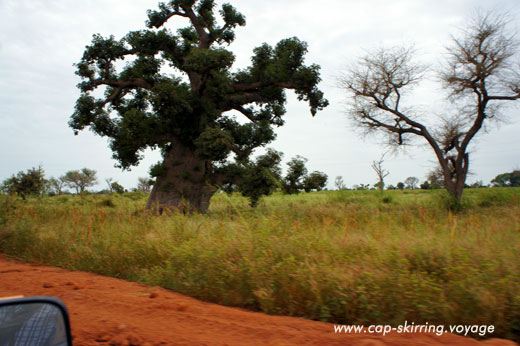 voyage Sénégal