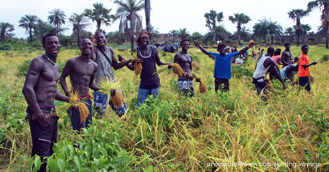 agriculture sénégalaise diola
