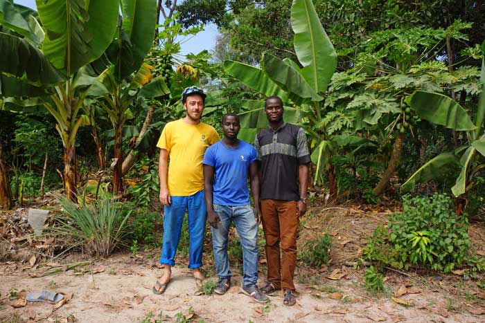 vente de banane bio au Sénégal, cultivateur producteur vente direct en gros sur tout le Sénégal arvimedia