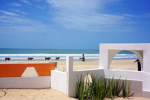 vacances casamance sud du sénégal photo guy degoutte arvimedia