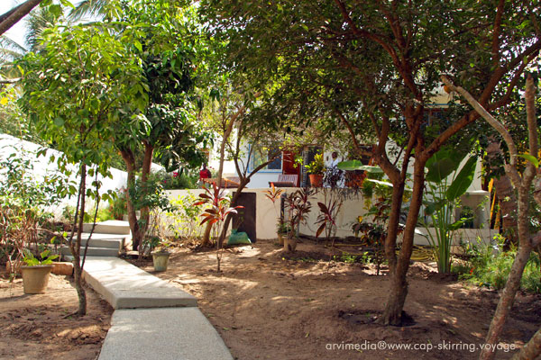 jardin tropical de l'hôtel