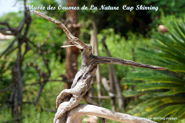 que faire au Cap Skirring sortie à visiter