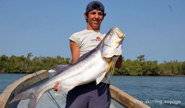 Pêche aux gros au Sénégal
