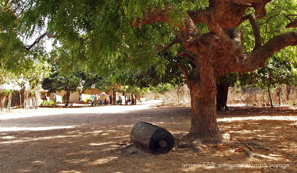 Téléphone sénégalais tamtam traditionnel pour communiquer d'un village à l'autre en Casamance dans le sud du Sénégal