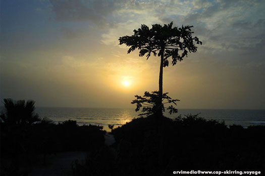 campement casamance Afrique